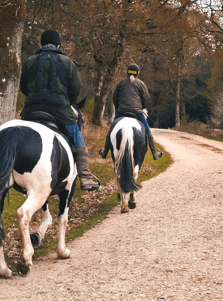 two riders on horseback riding on a trail that curves away into an autumnal 
                wooded area