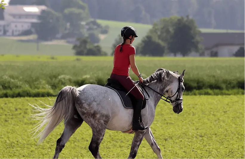 Image of a young woman wearing a helmet, 
            riding atop a white roan horse, and holding a riding crop