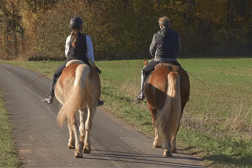 image of two riders riding two 
            brownish horses on a tranquil trail with Autumn trees in in the background